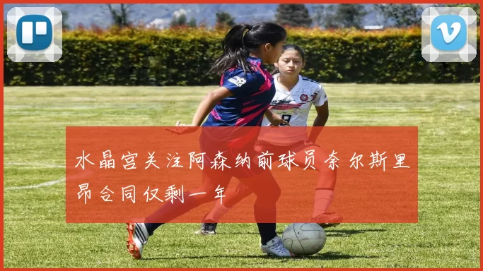 水晶宫关注阿森纳前球员奈尔斯里昂合同仅剩一年