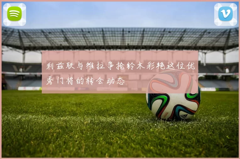 利兹联与维拉争抢铃木彩艳这位优秀门将的转会动态